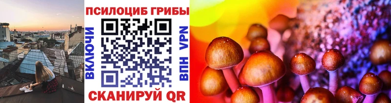 Псилоцибиновые грибы Psilocybe  Купить  Нижние Серги 